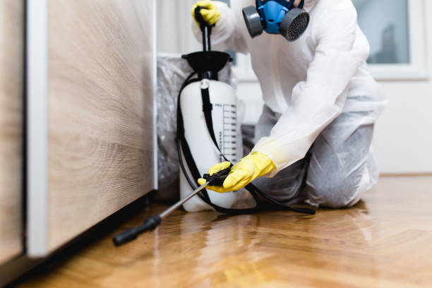 Best Flea Control Services  in Cloverdale, CA