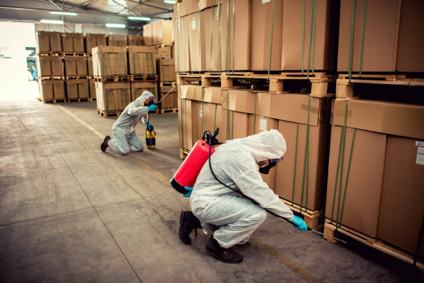 Best Pest Control for Homes  in Cloverdale, CA