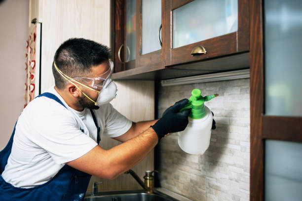 Best Mosquito Control Services  in Cloverdale, CA