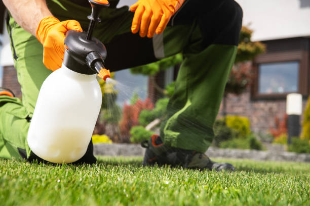 Best Affordable Pest Control Services  in Cloverdale, CA