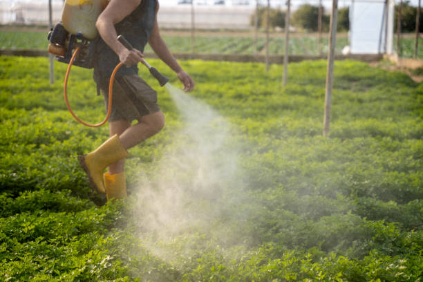 Best Residential Pest Control  in Cloverdale, CA