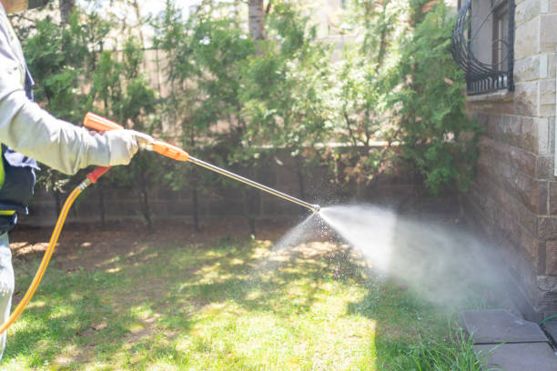 Best Pest Inspection Near Me  in Cloverdale, CA