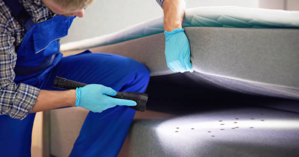 Best Mosquito Control Services  in Cloverdale, CA