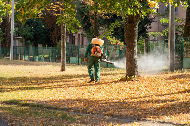 Best Pest Control Near Me in Cloverdale, CA