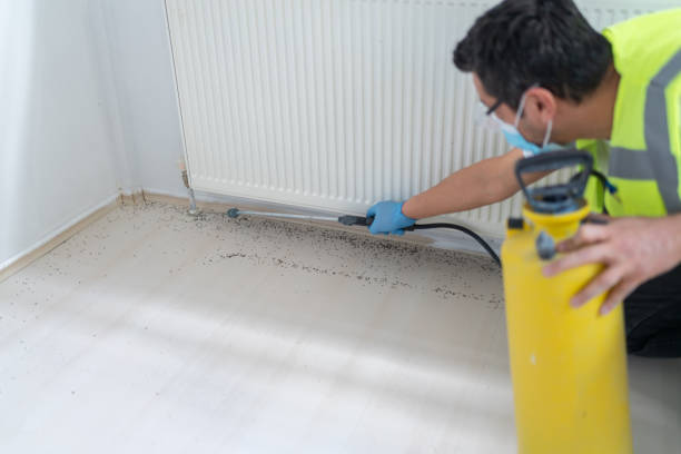  Cloverdale, CA Pest Control Pros